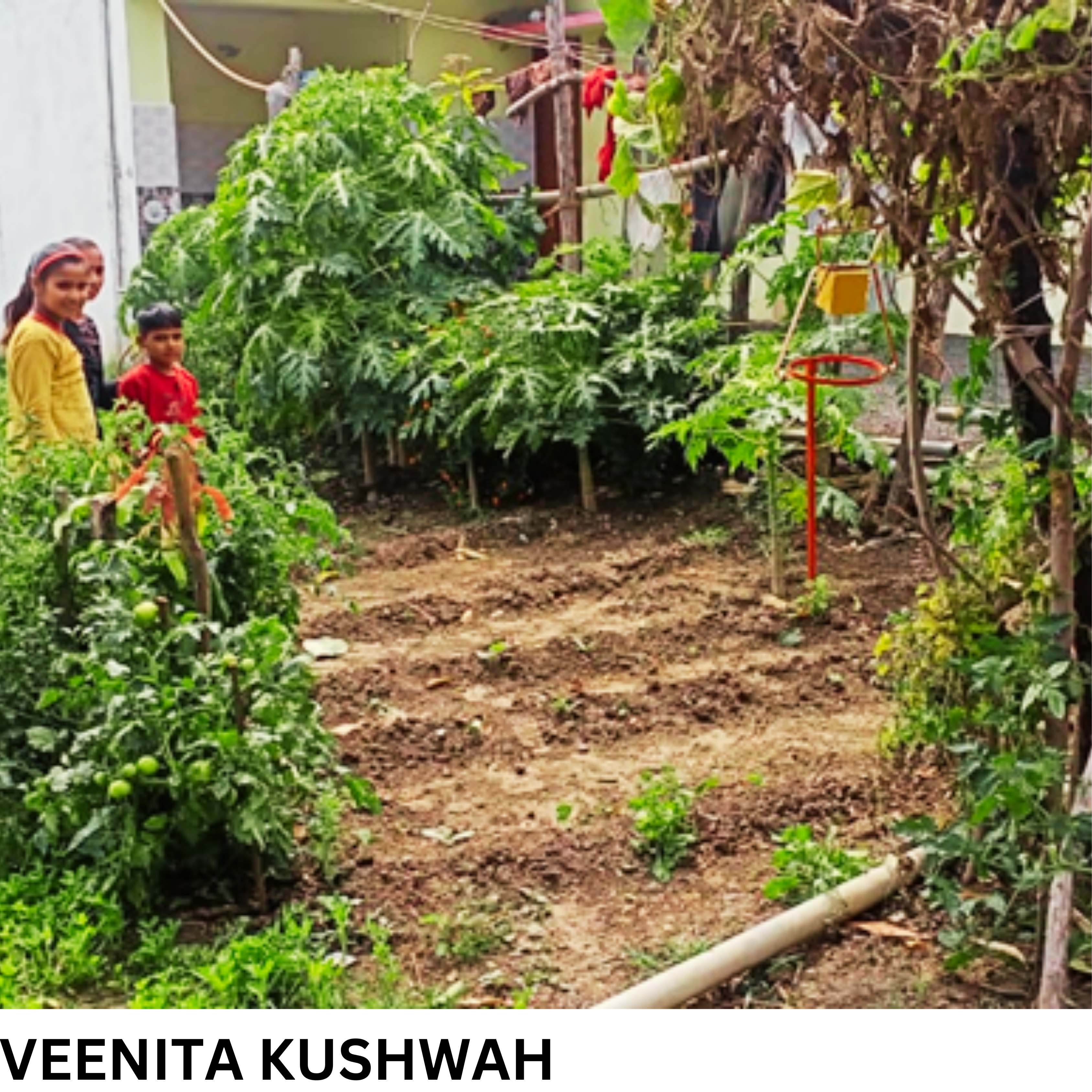 Donation For Childreen